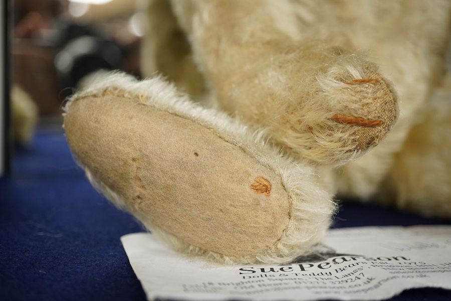 A Steiff blonde teddy bear, c.1907, approx. 36cm long